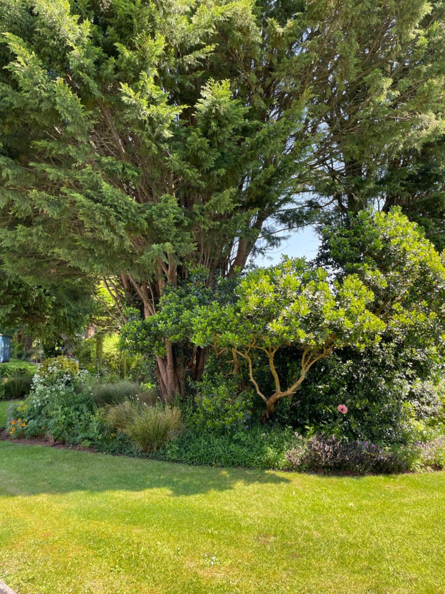 Leylands Annexe Villa East Harptree Dış mekan fotoğraf