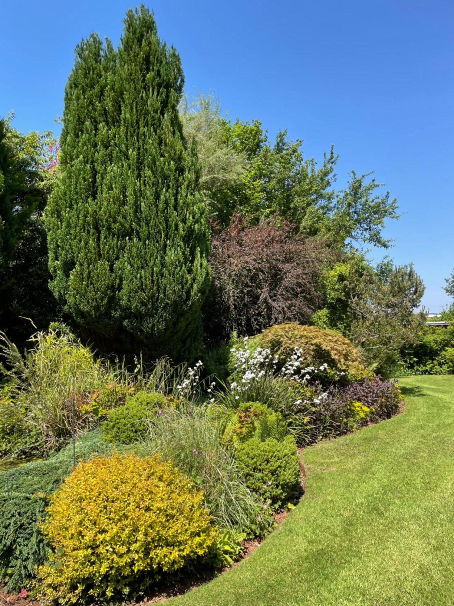 Leylands Annexe Villa East Harptree Dış mekan fotoğraf